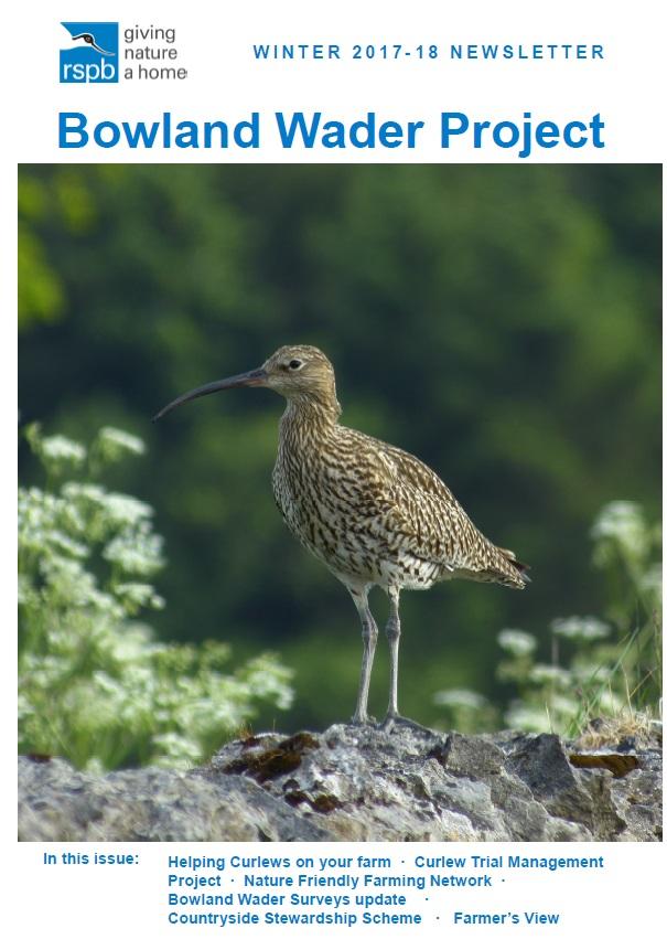 bowland_wader_project.jpg