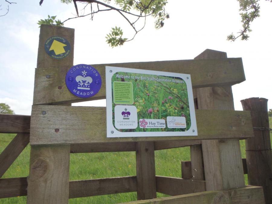plaque_and_sign_24-6-15.JPG