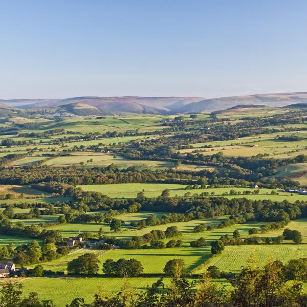 landscape view from Longridge Fell