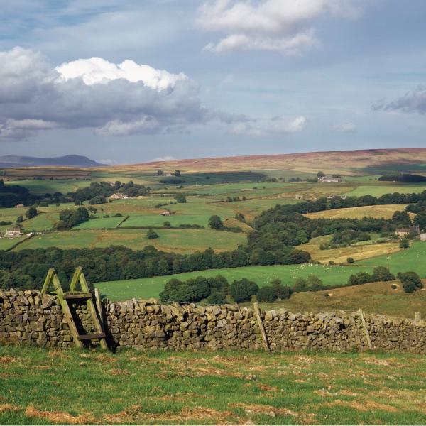 Landscape view of the Bowland Fells
