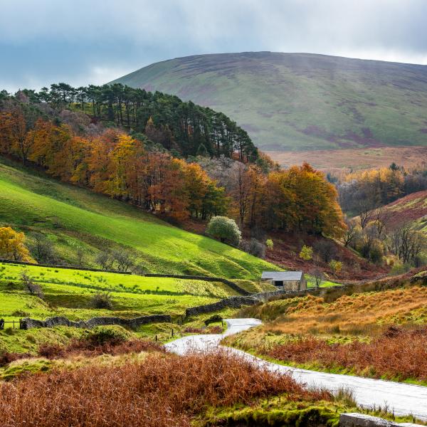 Landscape view of the Trough of Bowland