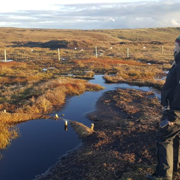 two people inspecting moorland peat dam works 