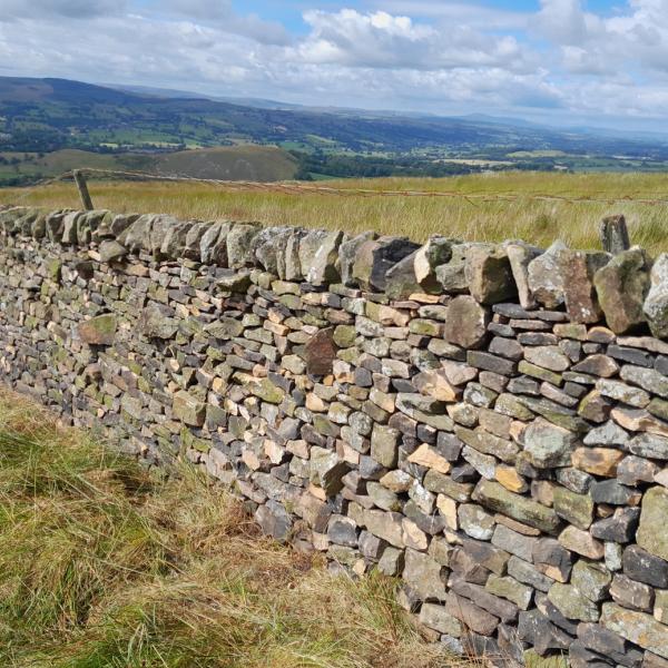 Dry stone wall