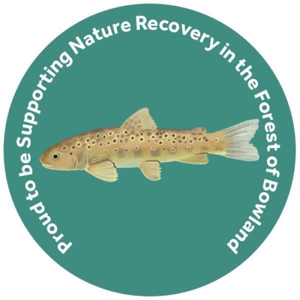 champion species badge of a trout