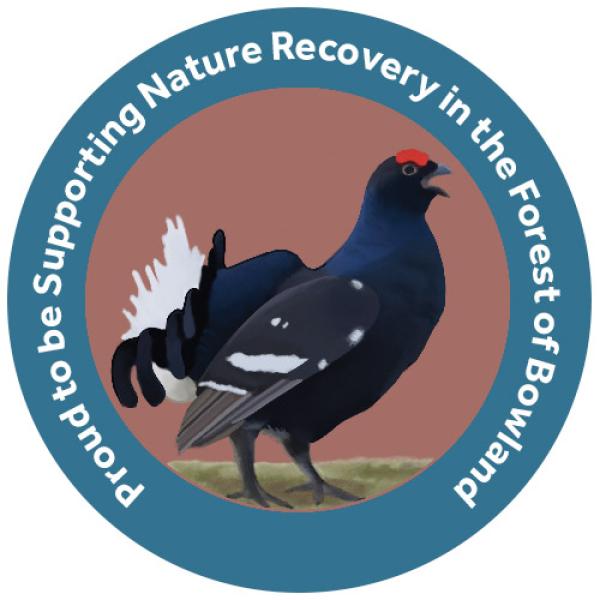 champion species badge of a black grouse