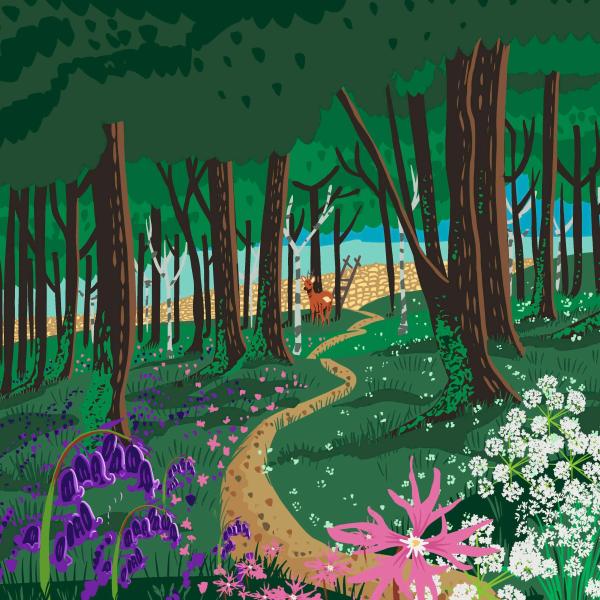eco escapes poster of Roeburndale