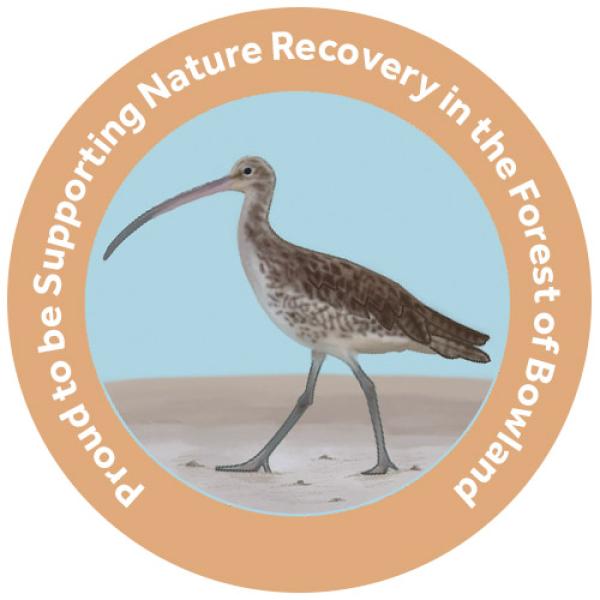 champion species badge of a curlew