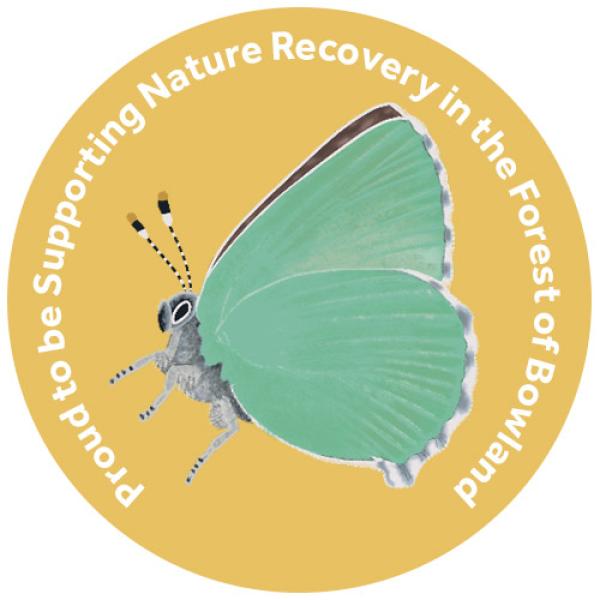 champion species badge of a green hairstreak butterfly