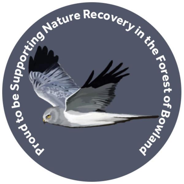 champion species badge of a hen harrier