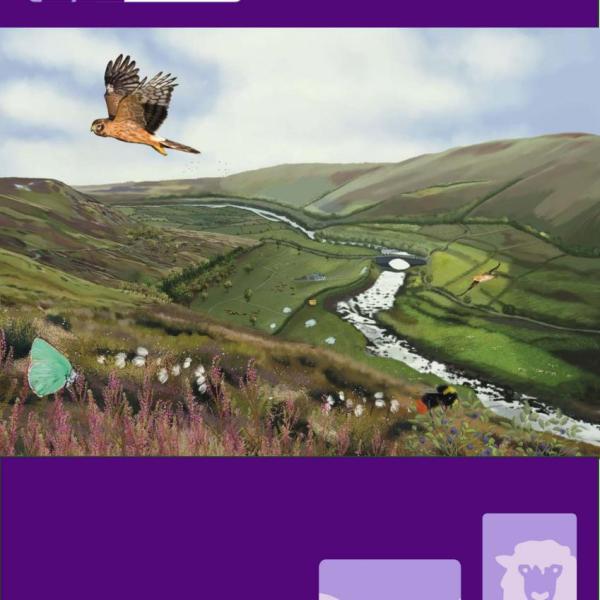 Nature Recovery Plan cover