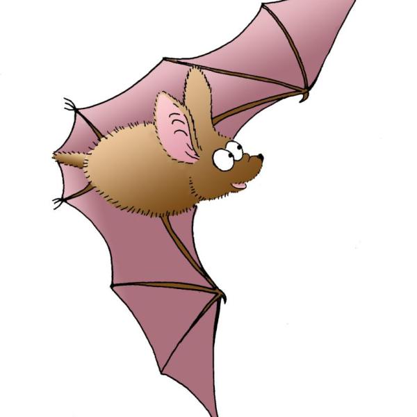bat graphic