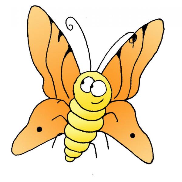 Butterfly graphic