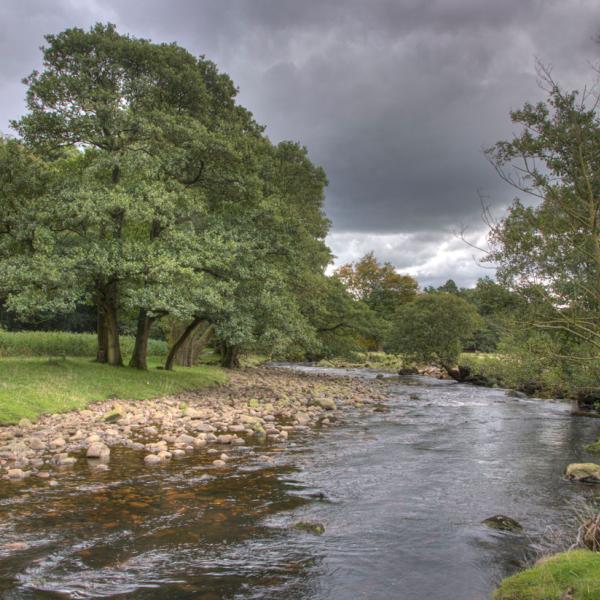 People picnicking next to River Hodder