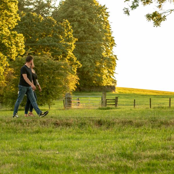 Walkers in a field