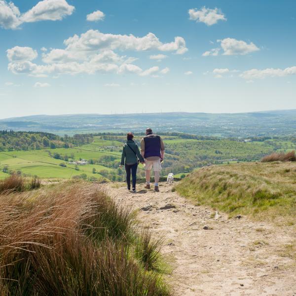 Walkers on track on Pendle Hill
