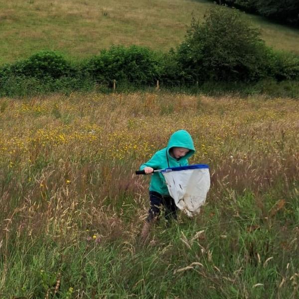 Children in a meadow at National Meadow Day