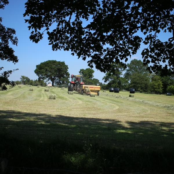 Small bales