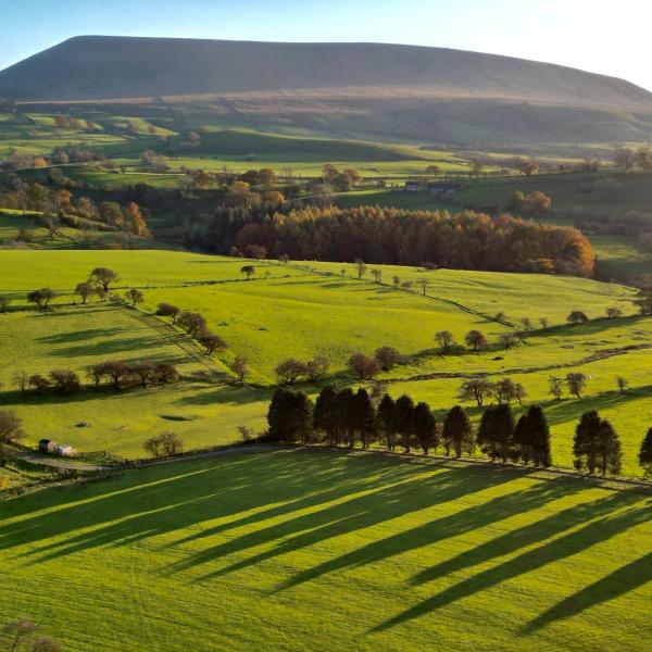 Pendle Hill