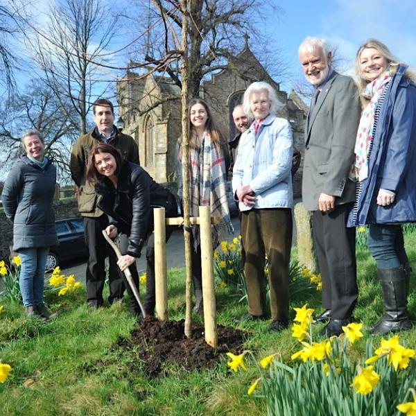 group of people planting a tree