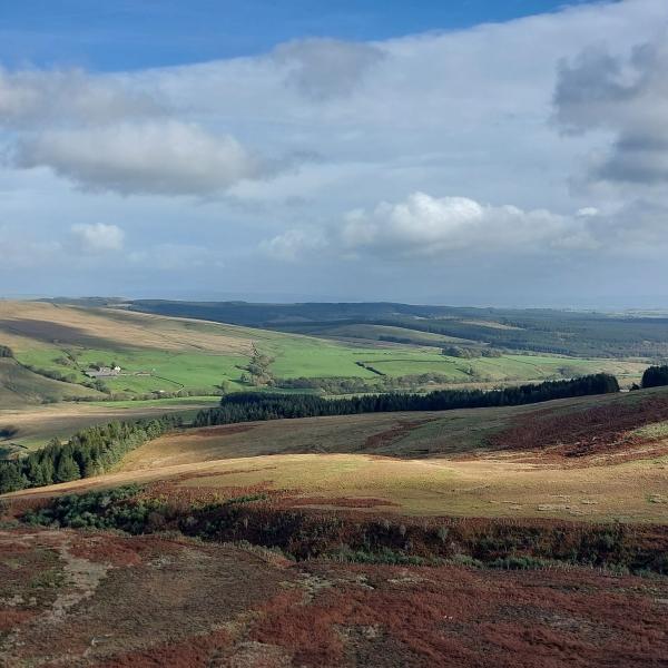 Catlow and Gisburn Forest from Lamb Hill