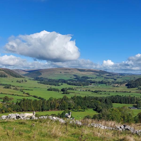 View of Little Bowland