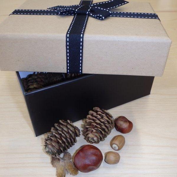 Box of woodland textures