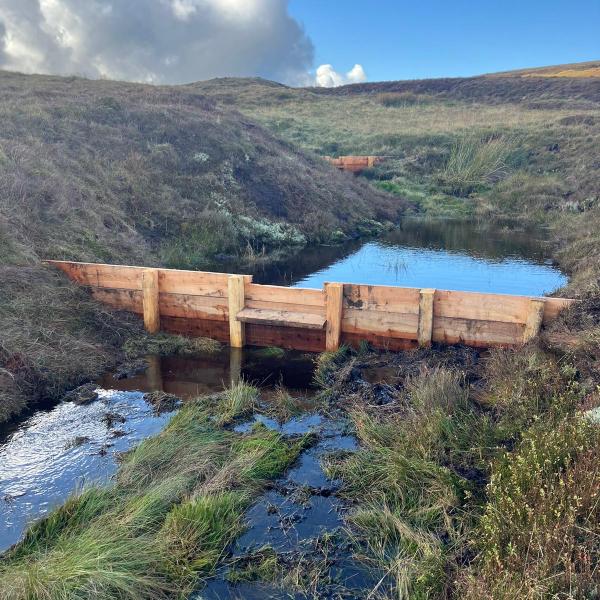 Peatland restoration bunds
