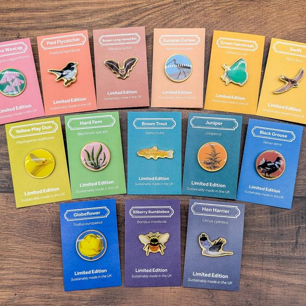 selection of champion species badges