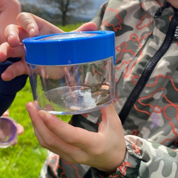 Child holding bug in a pot
