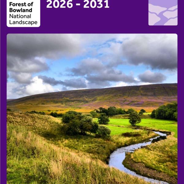 Management Plan Cover