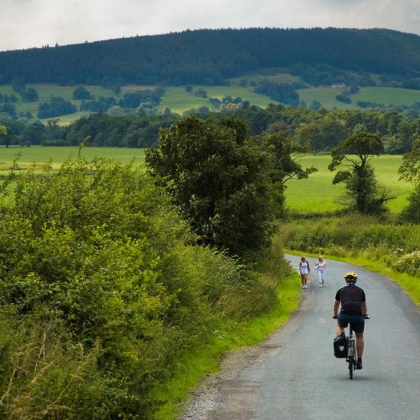 cyclist and walkers on rural road