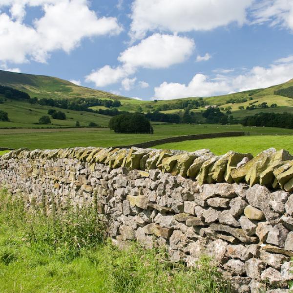drystone wall in the landscape