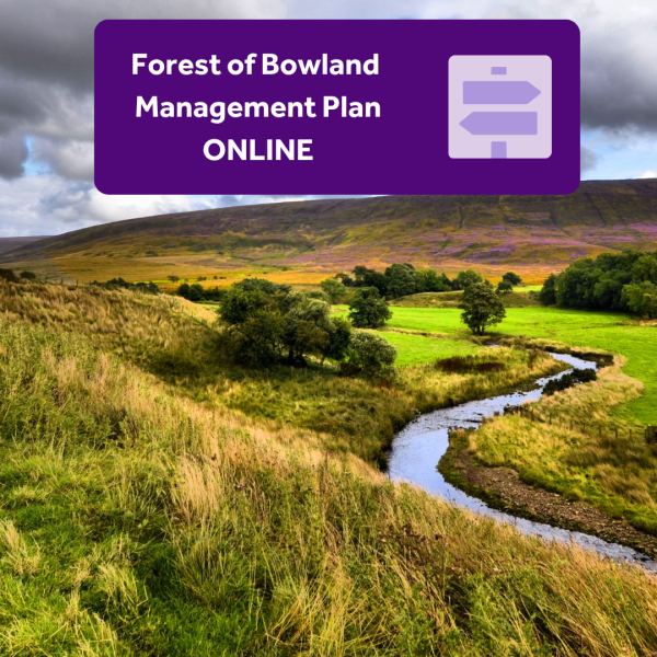 Management Plan cover