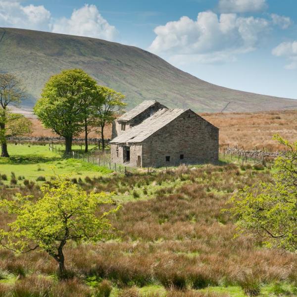 Barn beneath Pendle Hill