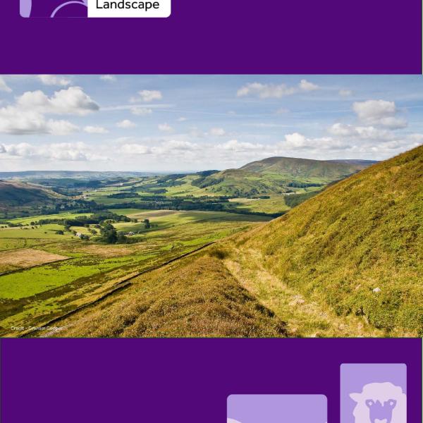 State of the National Landscape 2024-25 Report Cover