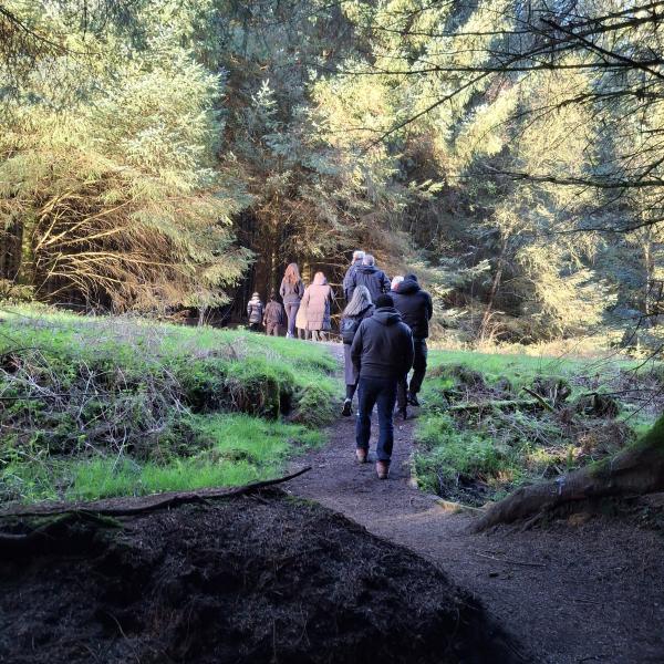 Forest bathing in Gisburn Forest