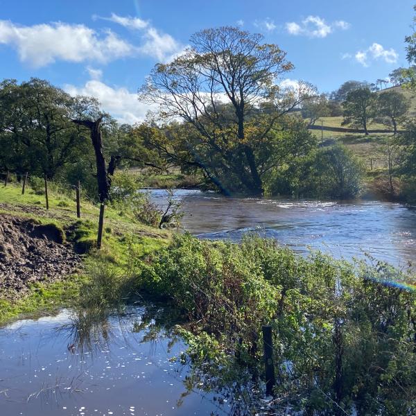 River Ribble 