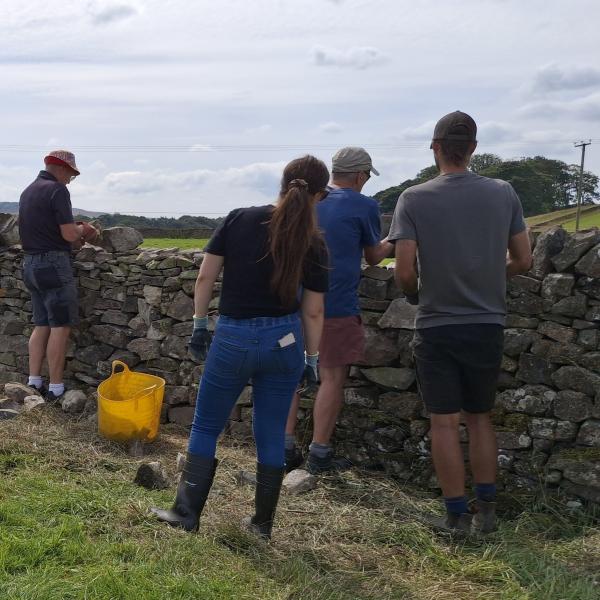 dry stone walling in Sladidburn