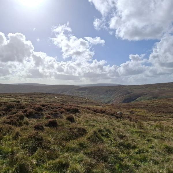 Bowland fells