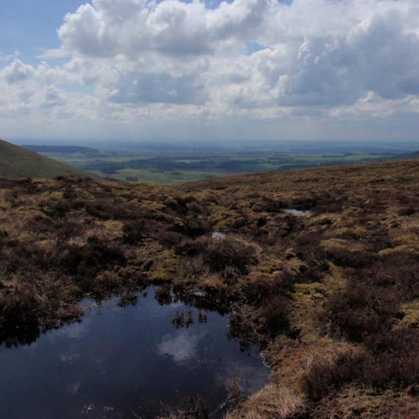 Peatland restoration in Bowland
