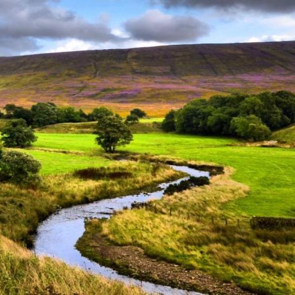 Bowland Fells by Steven Kidd