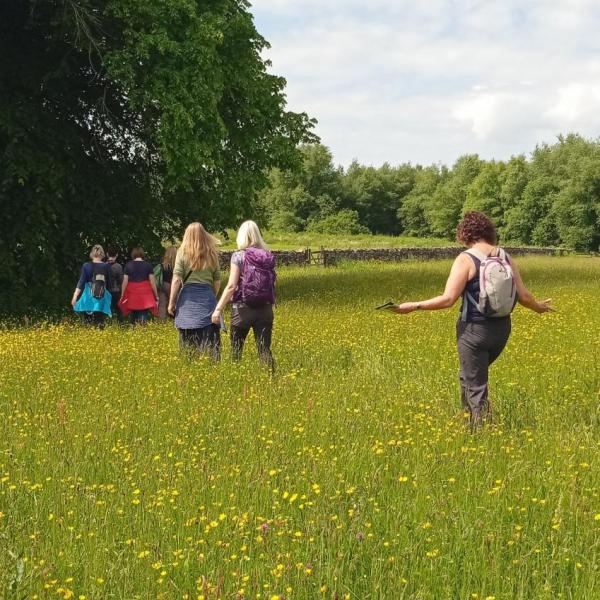 Meadow Inspiration Walk
